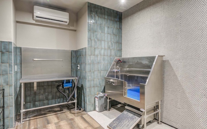 pet spa with wash stations